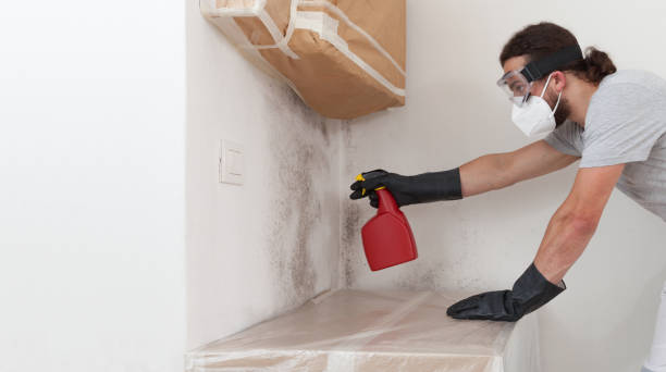 Attic Mold Remediation treatment on roof deck in New Hope